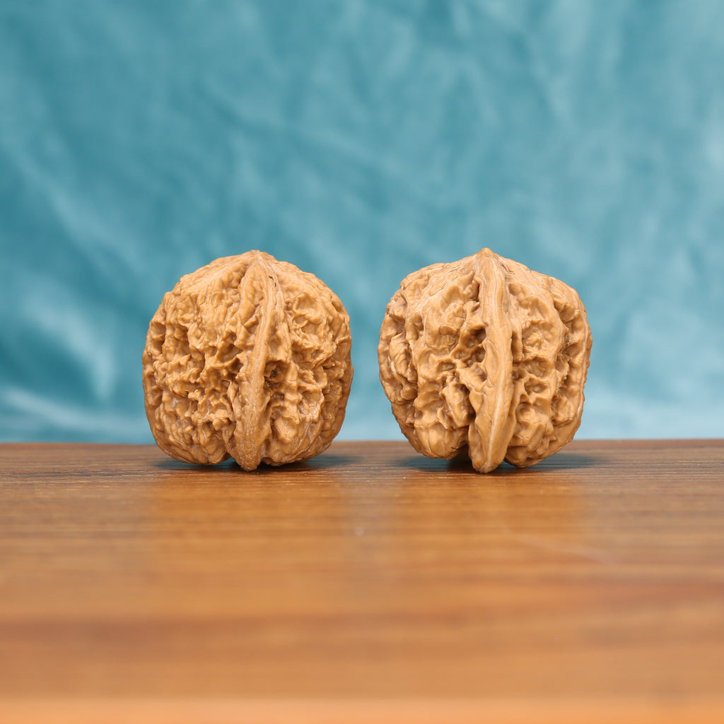 The Fluid Crest | W4930 Wenwan Walnut Set 4930