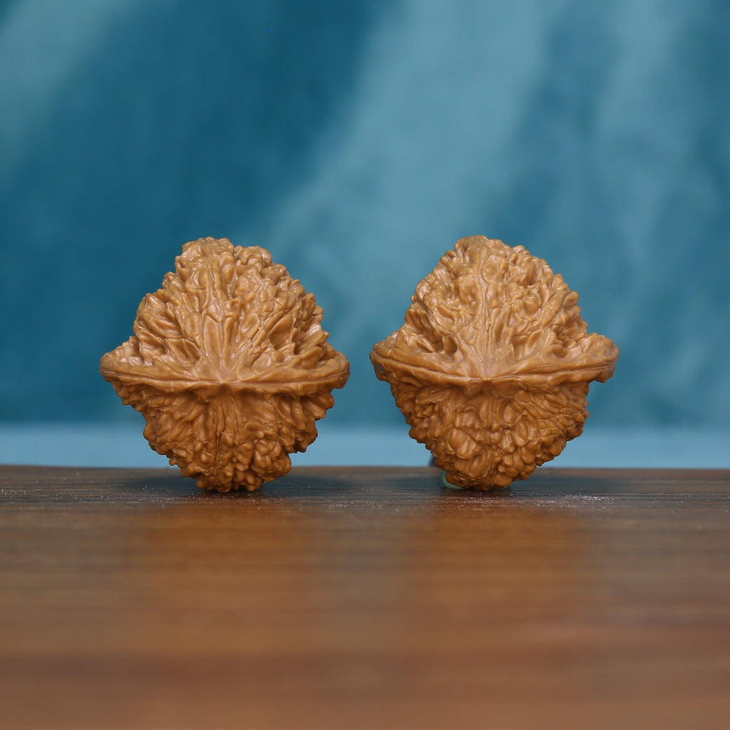 Side view of two 6136 Winding Crown wenwan walnuts showing their raised central bands
