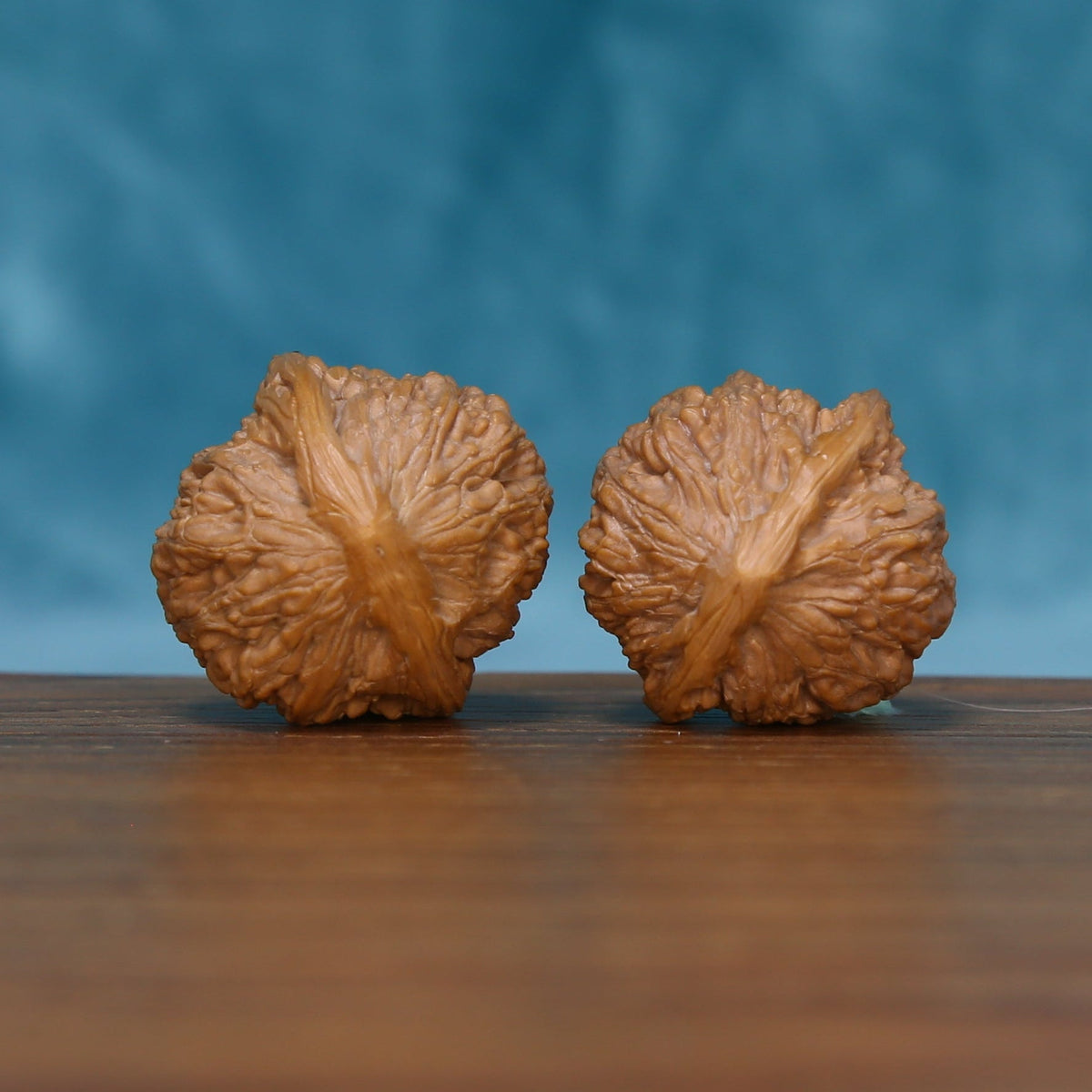 Bottom view of The Stone Pearls Wenwan walnuts showing their textured bases and distinctive natural ridges.
