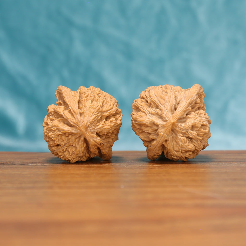 The Fluid Crest | W4930 Wenwan Walnut Set 4930