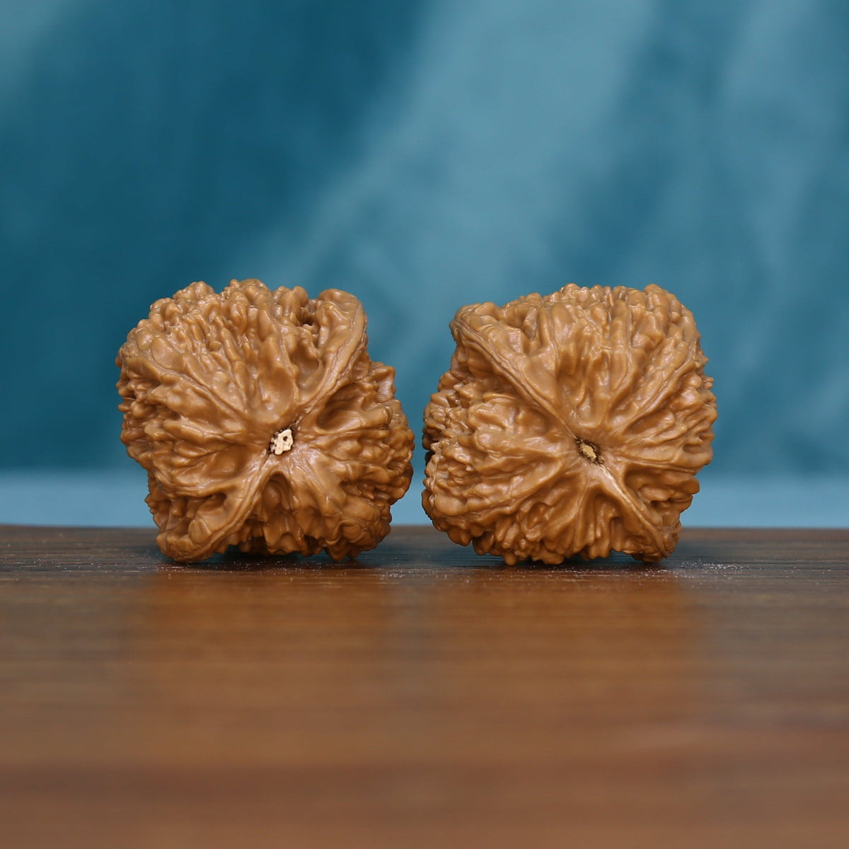 Base view of the 6136 Winding Crown wenwan walnut pair with radiating grooves
