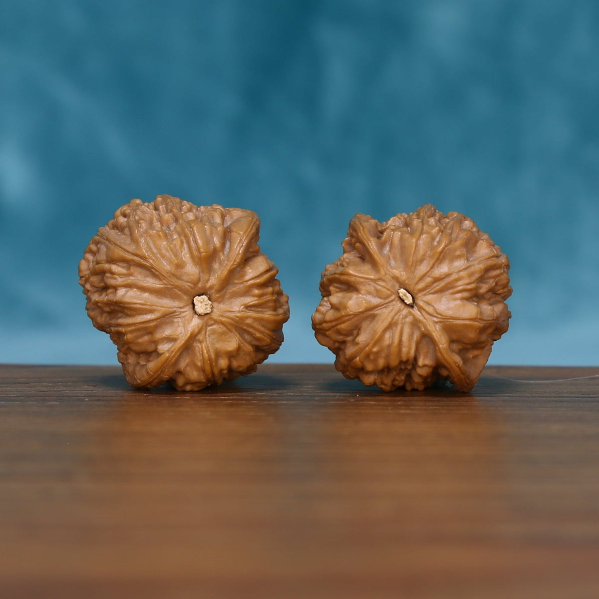Close rear view of The Stone Pearls Wenwan Walnut Set highlighting the walnuts’ star-like texture and sculpted edges.

