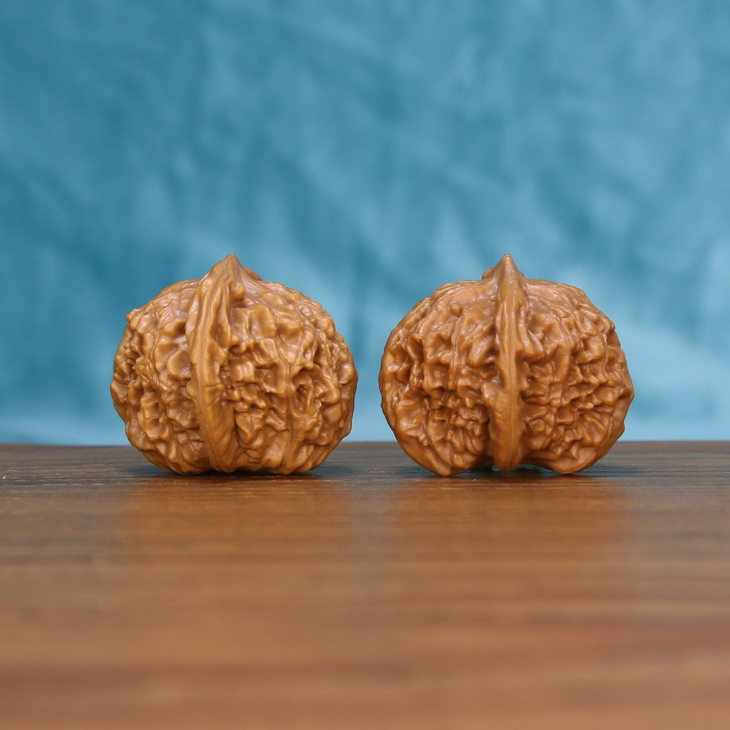 Side view of two Qinhuangdao Yuanbao Wenwan walnuts showing their compact rounded profile

