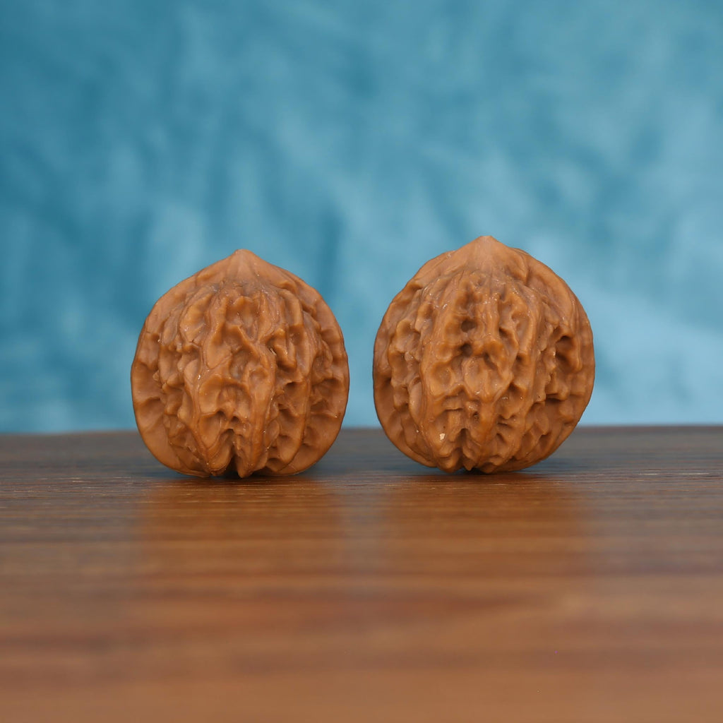 Pair of wenwan walnuts with finely pitted wrinkled brain-like surface and compact rounded form, front view on wooden surface with blue background
