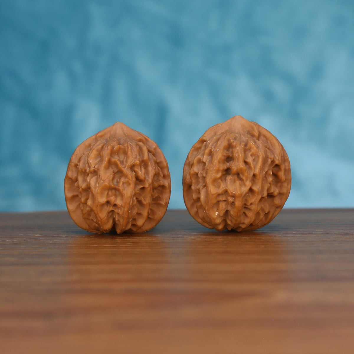 Pair of wenwan walnuts with finely pitted wrinkled brain-like surface and compact rounded form, front view on wooden surface with blue background
