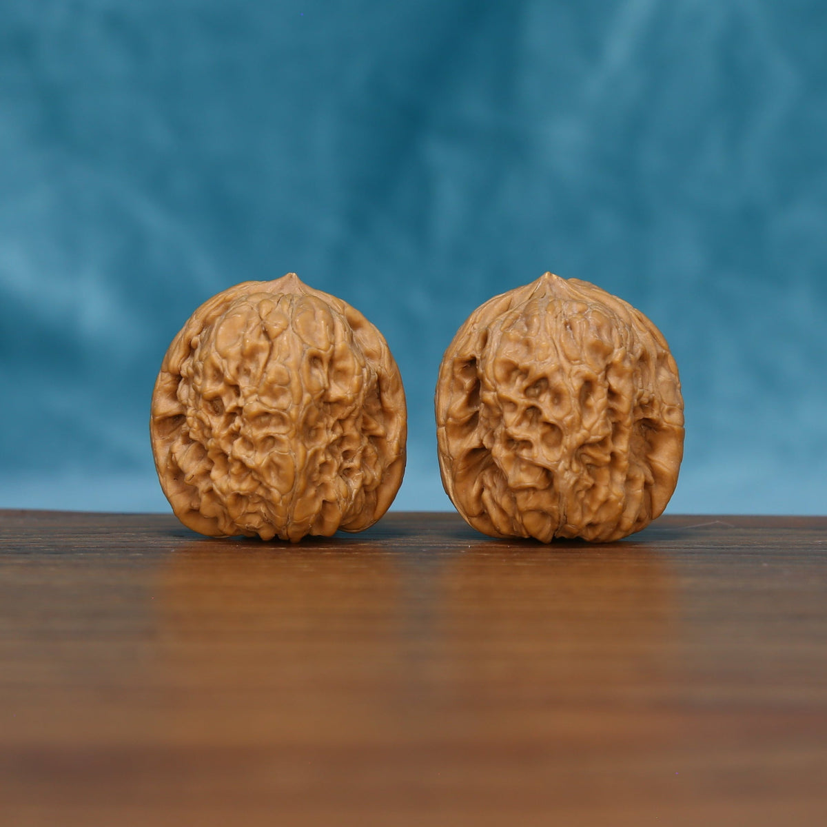 Angled front view of The Sandstone Pair Wenwan walnuts highlighting their rounded forms and dense natural ridges.

