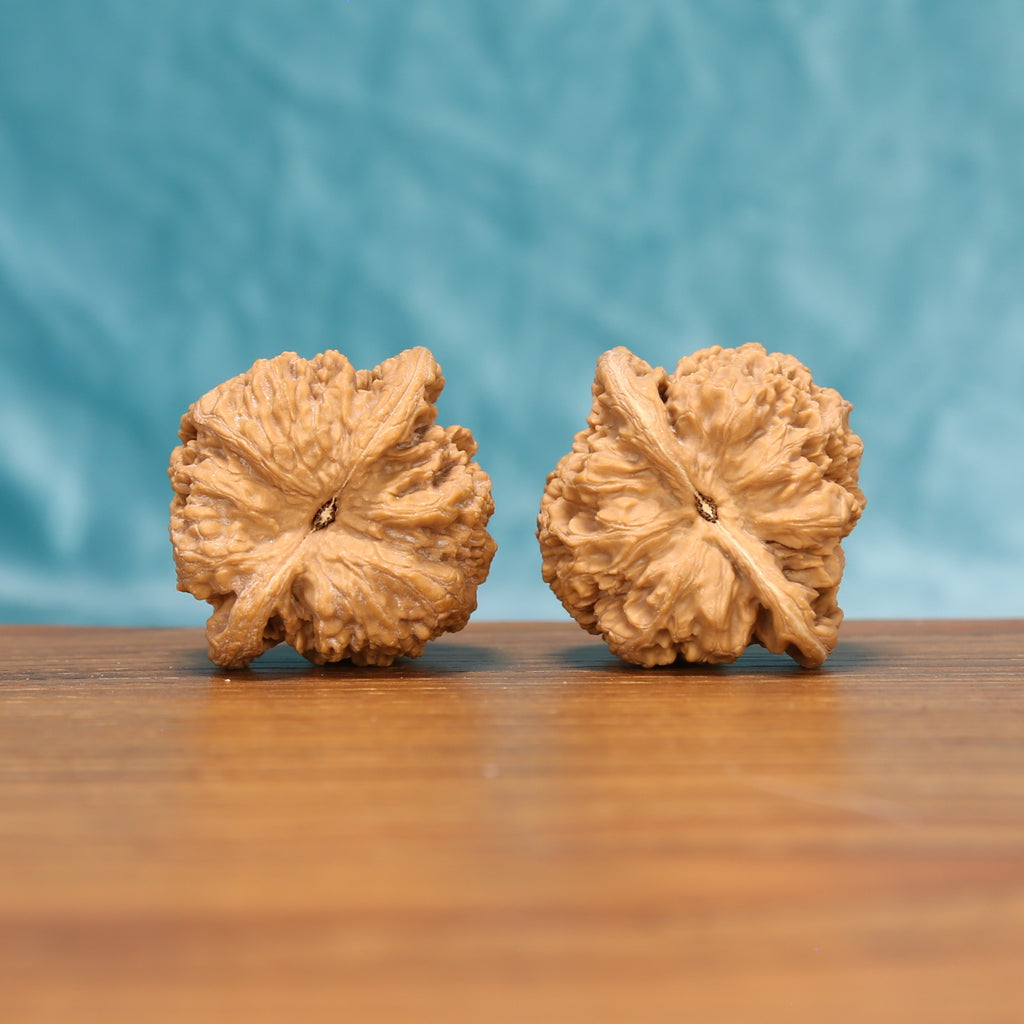 The Fluid Crest | W4930 Wenwan Walnut Set 4930