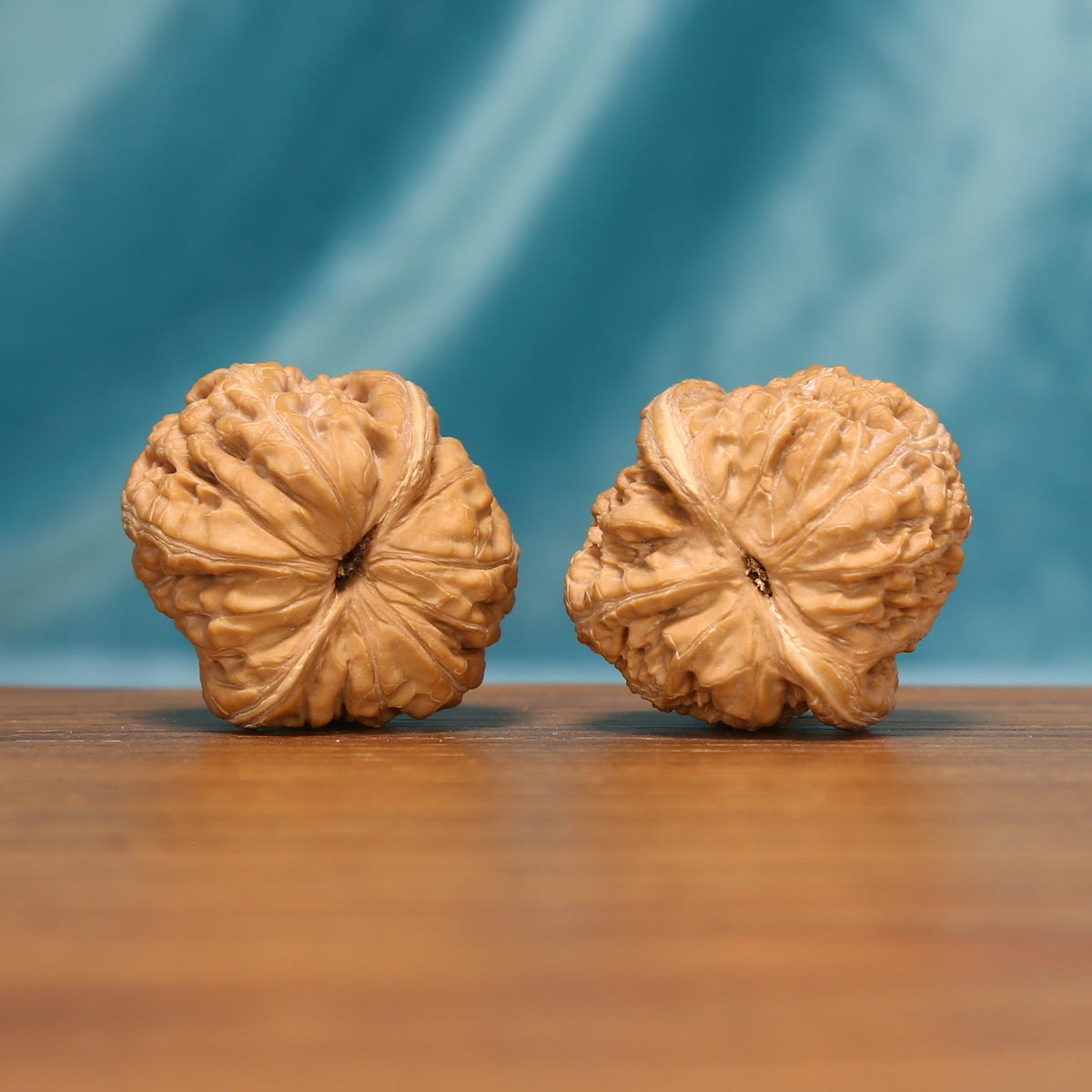 L16 Wenwan walnut pair shown from below, highlighting the natural base patterns and radiating ridges.
