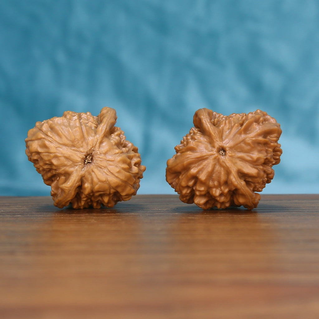 Bottom view of a matched Qinhuangdao Yuanbao Wenwan walnut pair showing natural base details
