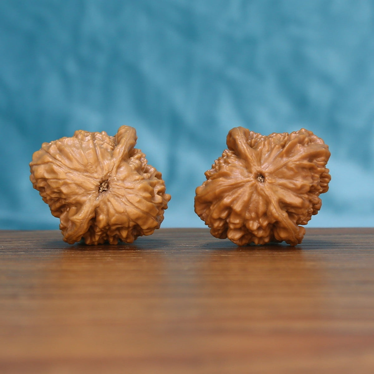 Bottom view of a matched Qinhuangdao Yuanbao Wenwan walnut pair showing natural base details
