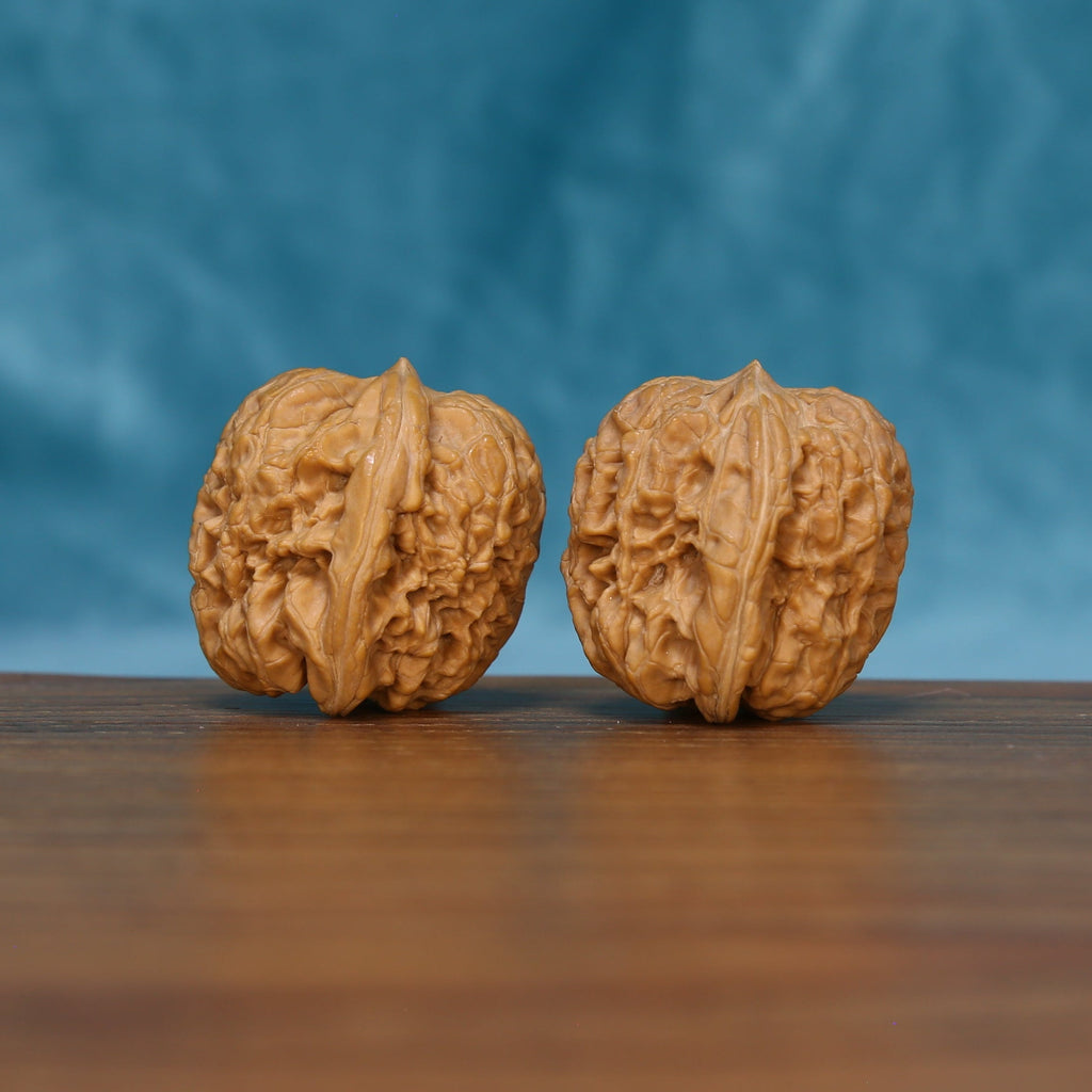 Detailed side view of The Sandstone Pair Wenwan walnuts with pronounced vertical ridges and natural variation.
