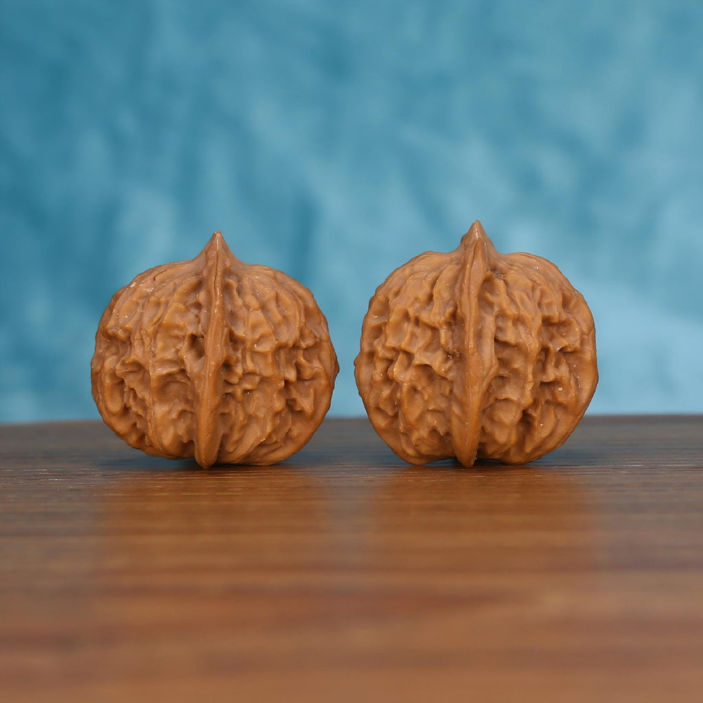 Pair of wenwan walnuts with sharp pointed tip and bold vertical seam, smooth upper dome with deeply wrinkled lower lobes, side view on wooden surface with blue background
