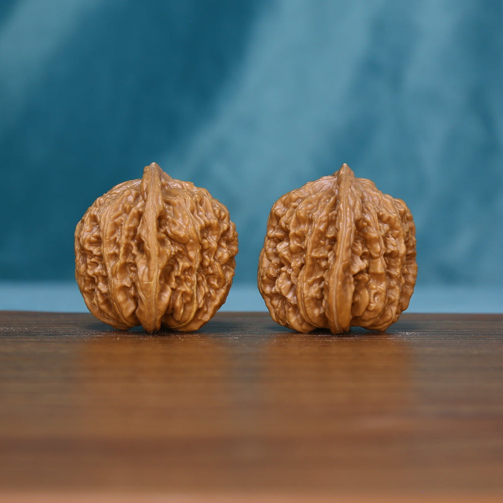 Front view of two 6127 wenwan walnuts with prominent central ridges
