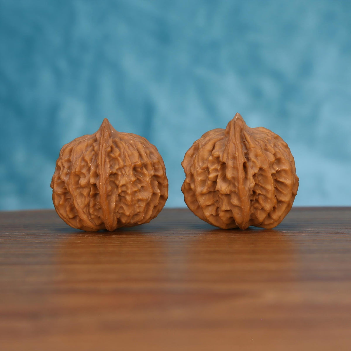 Pair of wenwan walnuts with sharp pointed tip and prominent vertical seam, coarsely ruffled wrinkled surface and squat rounded form, side view on wooden surface with blue background
