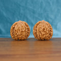 Pair of Wheat Tiger Wenwan walnuts standing upright on a wooden surface against a blue background

