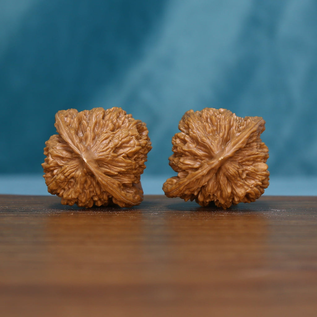 Side view of two 6127 wenwan walnuts with raised winding grooves
