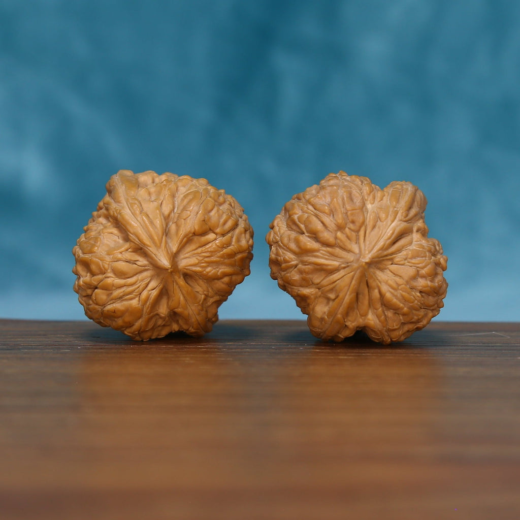 Bottom view of The Sandstone Pair Wenwan walnuts showing their textured bases and distinctive ridge patterns.
