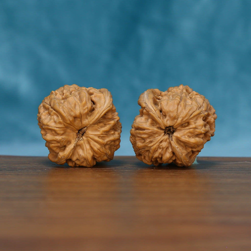 Close rear view of The Sandstone Pair Wenwan Walnut Set highlighting the walnuts’ deep natural texture.
