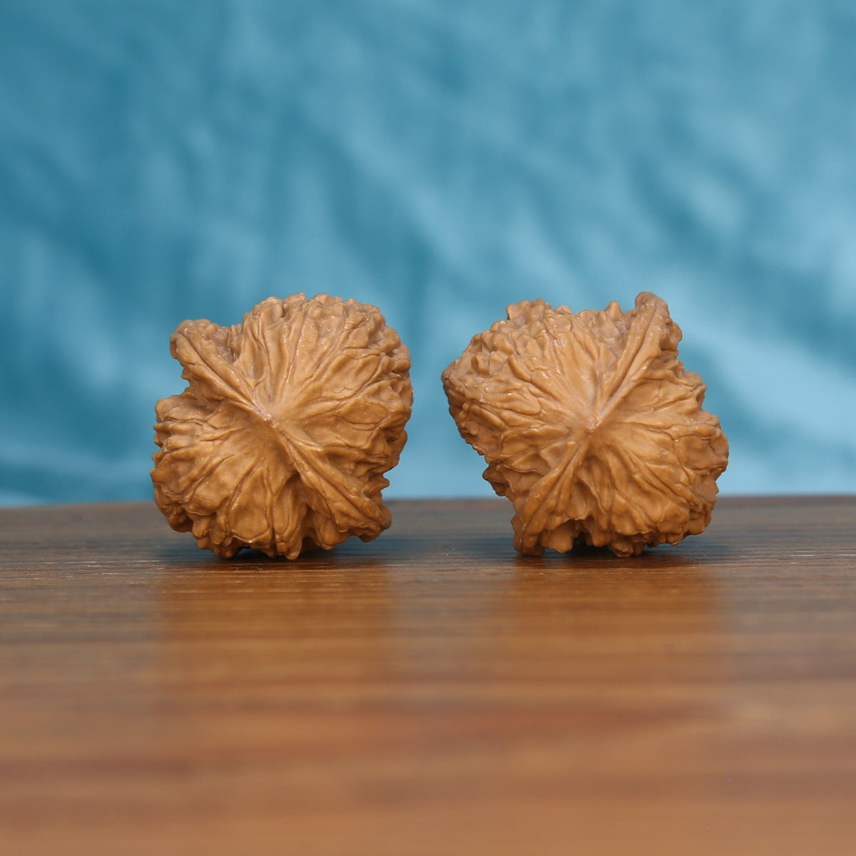 Chang-Men walnut pair bottom view on wooden surface, natural elongated shape and texture detail