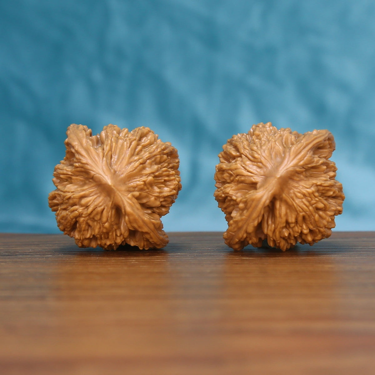 Back view of two Wheat Tiger Wenwan walnuts showing distinct natural shell patterns
