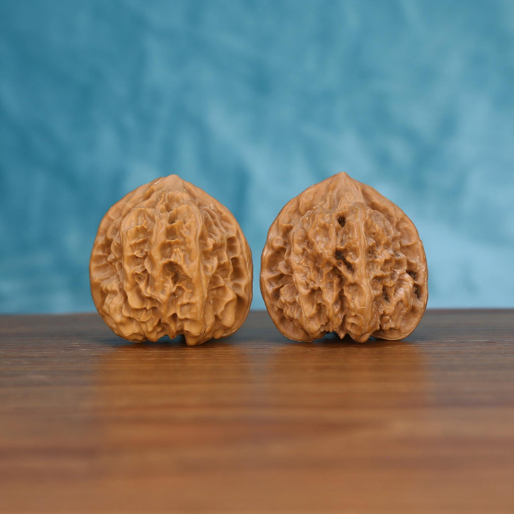Pair of wenwan walnuts with sharp pointed tip and bold vertical seam, densely ruffled layered wrinkled lobes and broad rounded form, side view on dark velvet surface with black background
