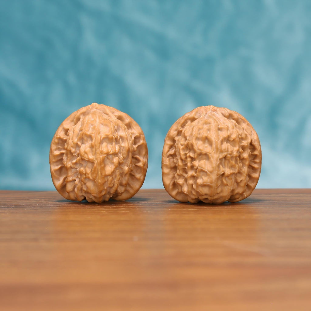 Xing-Tai Yuan-Bao walnut pair on wooden surface – compact 35mm EDC botanical stress relief tool