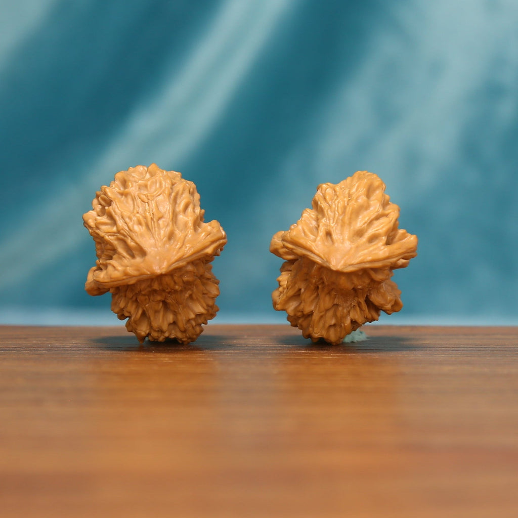 The Longform Twins L36 wenwan walnut pair, front view showing layered natural ridges
