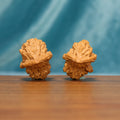 The Longform Twins L36 wenwan walnut pair, front view showing layered natural ridges
