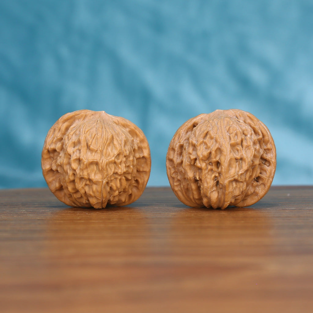 White-gloved hands presenting Heritage Mo-Pan walnut pair, showcasing natural flat disc texture