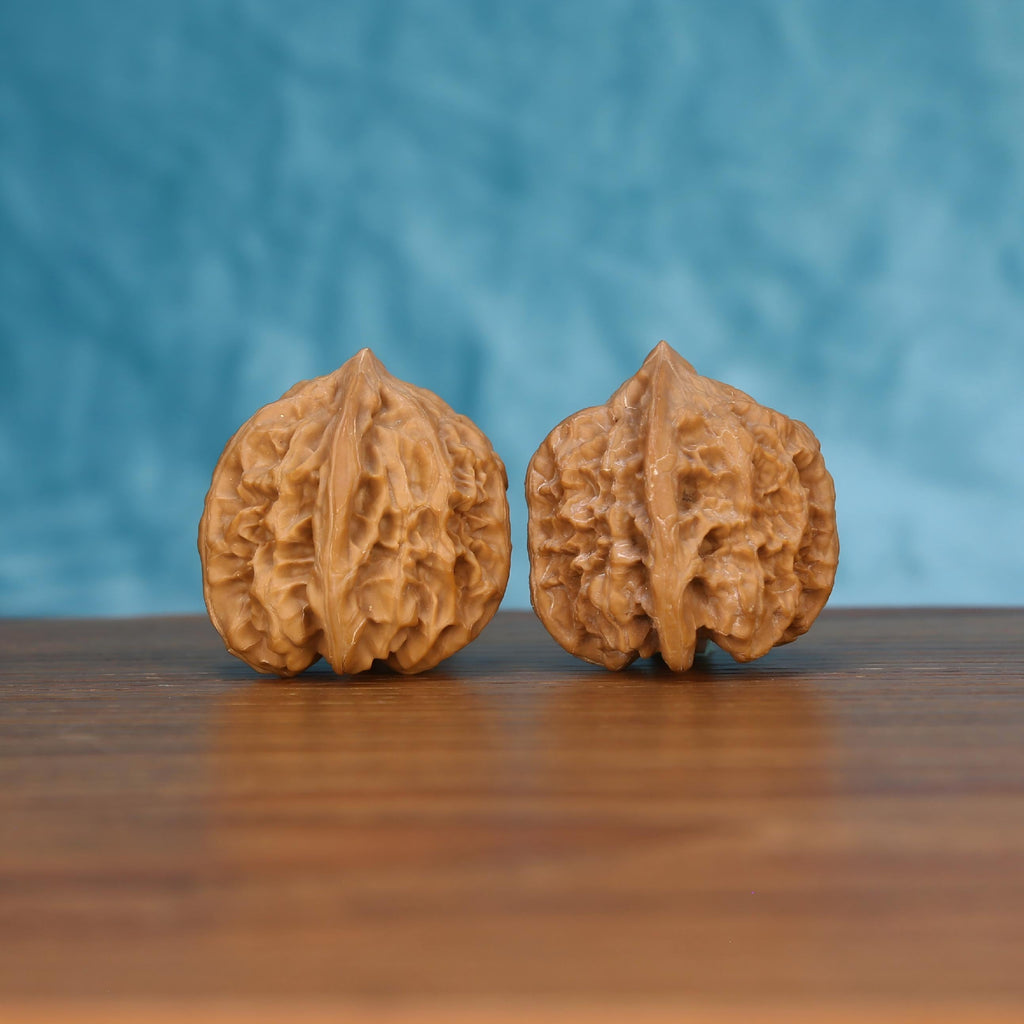 Pair of wenwan walnuts with coarsely pitted open wrinkled surface and wide squat rounded form, front view on dark velvet surface with black background
