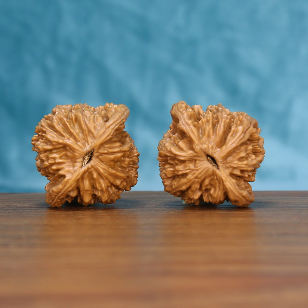 Bottom view of a matched Wheat Tiger Wenwan walnut pair showing natural base details
