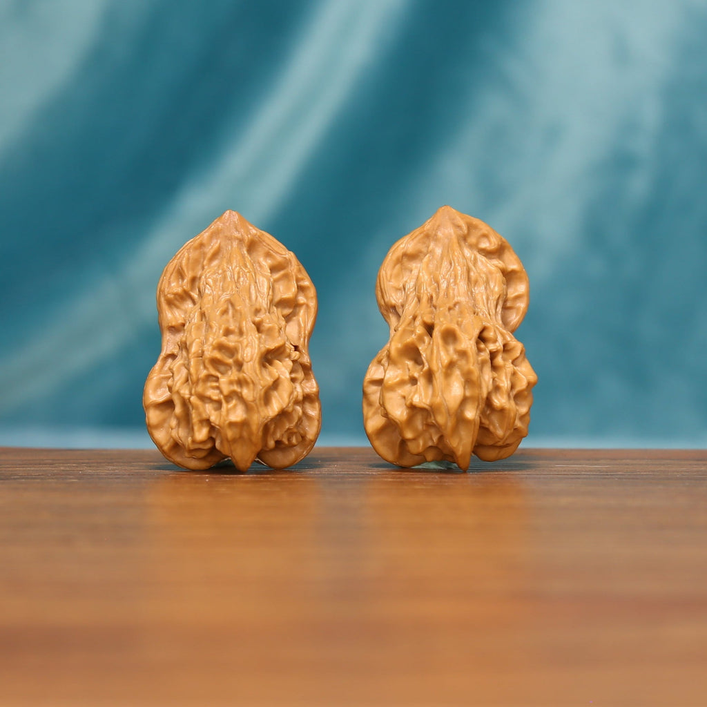 The Longform Twins L36 wenwan walnut pair standing upright on a wooden surface
