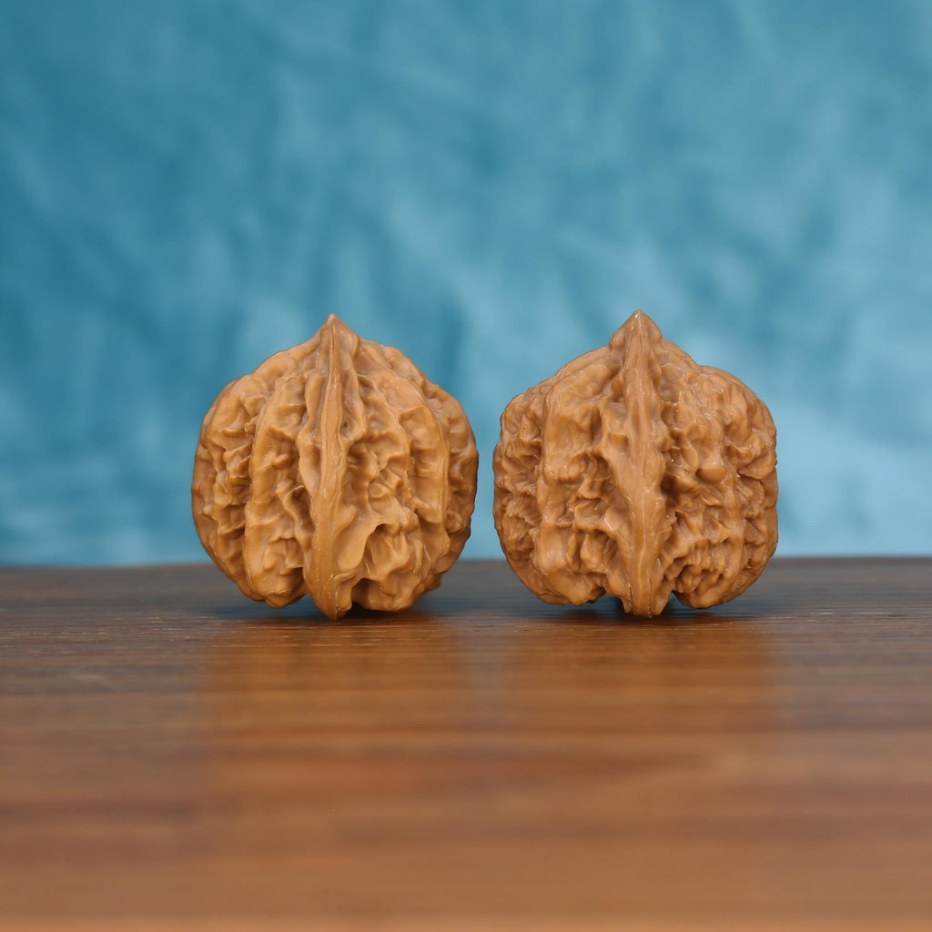 Pair of wenwan walnuts with sharp pointed tip and prominent vertical seam, deeply folded layered wrinkled lobes and tall rounded form, side view on dark velvet surface with black background
