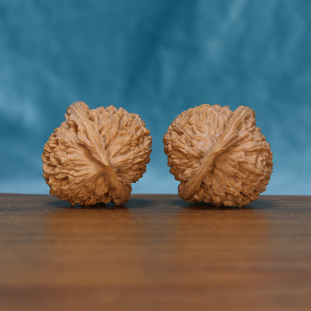 The Hearth Rounds | CWY210 Wenwan Walnut Set