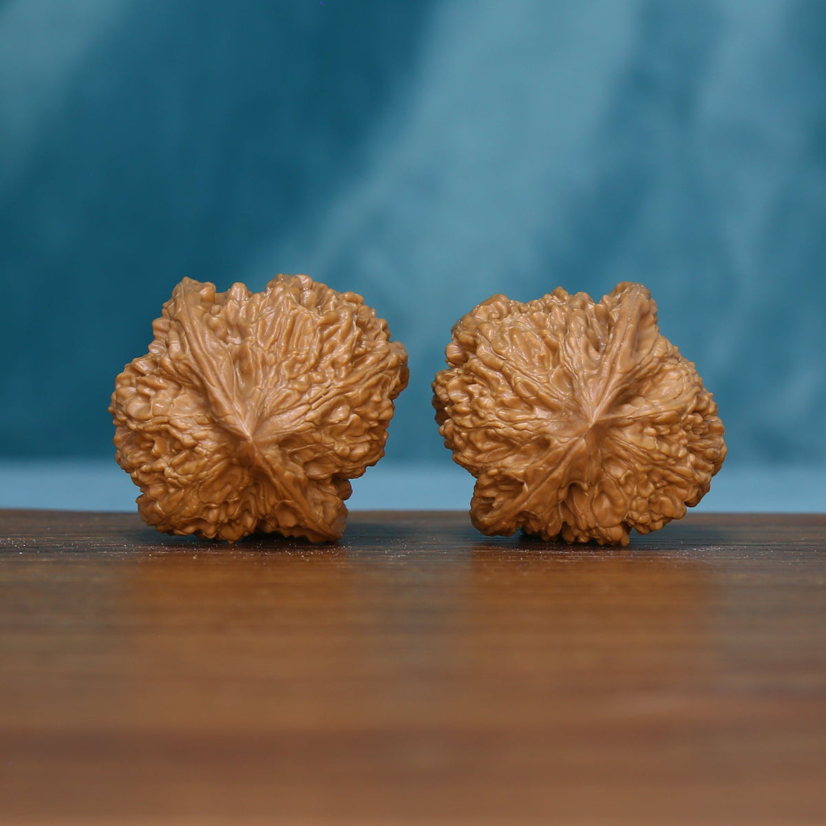 Base view of two 6180 Braided Crest wenwan walnuts showing radiating ridges
