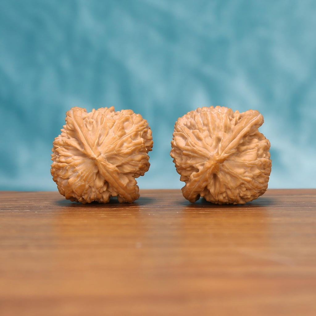 4822 Xing-Tai walnut spheres – pocket sanctuary EDC pair with rotational equilibrium balance