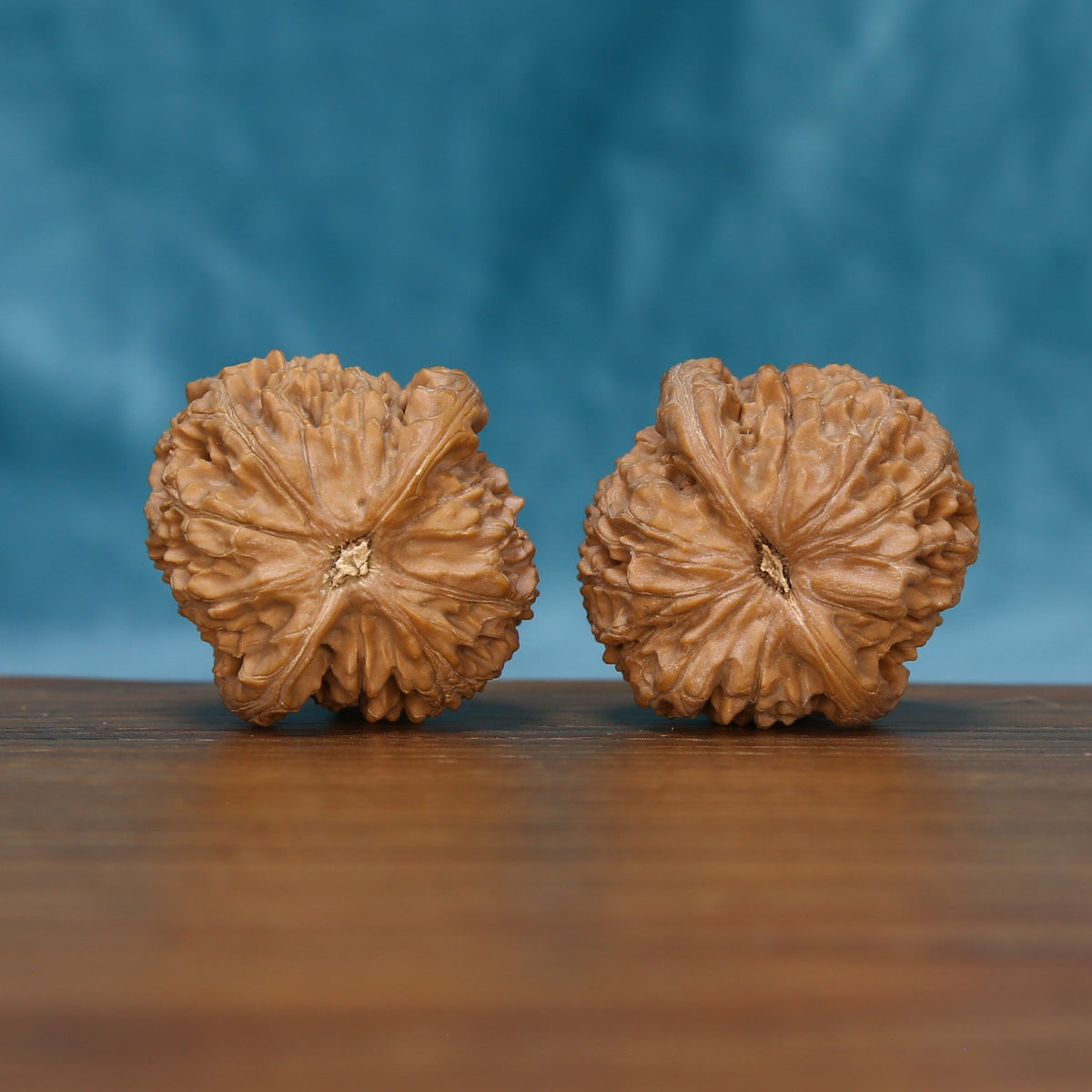 The Hearth Rounds | CWY210 Wenwan Walnut Set