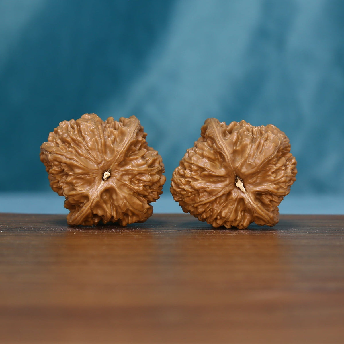 Alternate base view of the 6180 Braided Crest wenwan walnut pair
