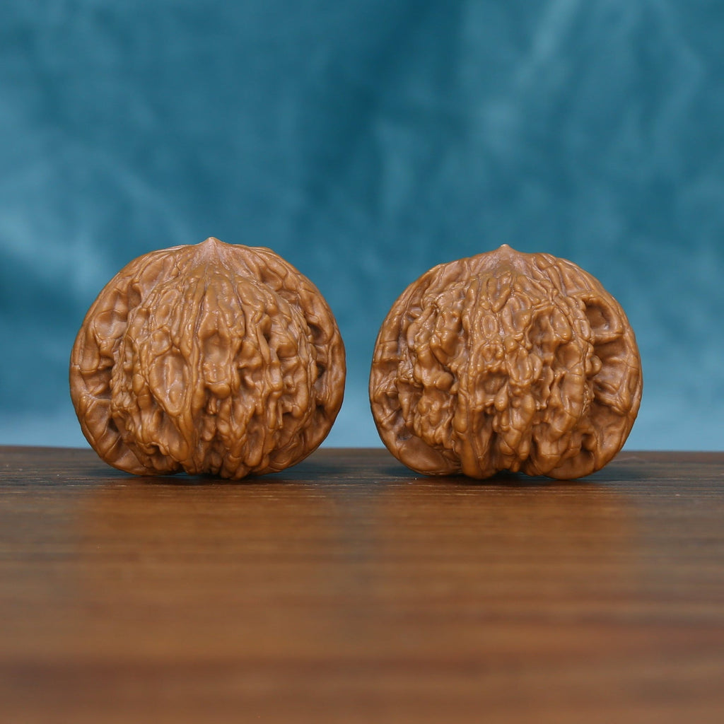 The Bronze Relics | CWY207 Wenwan Walnut Set