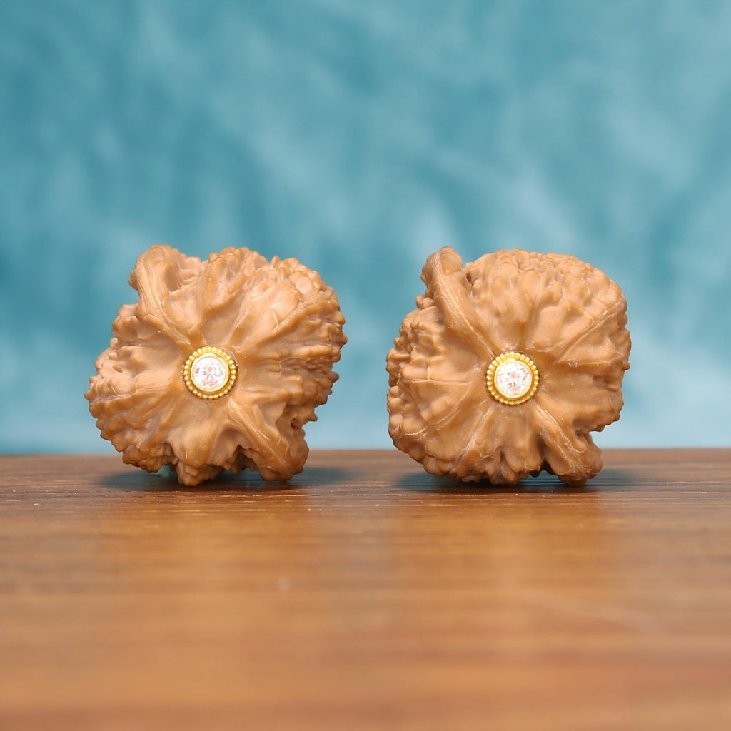 Xing-Tai Yuan-Bao walnut botanical artifacts by mistbodhi – wild-harvested ancient ingot cultivar