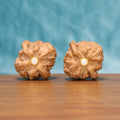 Xing-Tai Yuan-Bao walnut botanical artifacts by mistbodhi – wild-harvested ancient ingot cultivar