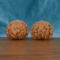 Angled front view of The Bronze Relics Wenwan walnuts highlighting their rounded forms and rich bronze-brown color.
