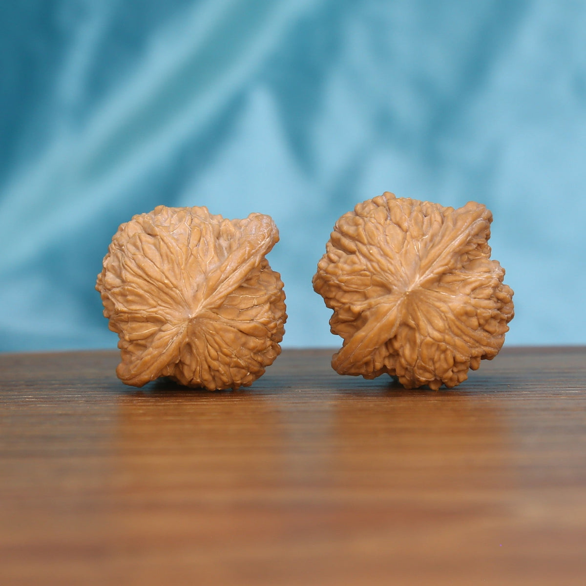Heritage Mo-Pan walnut set side profile on wood, blue background – symmetrical grain detail

