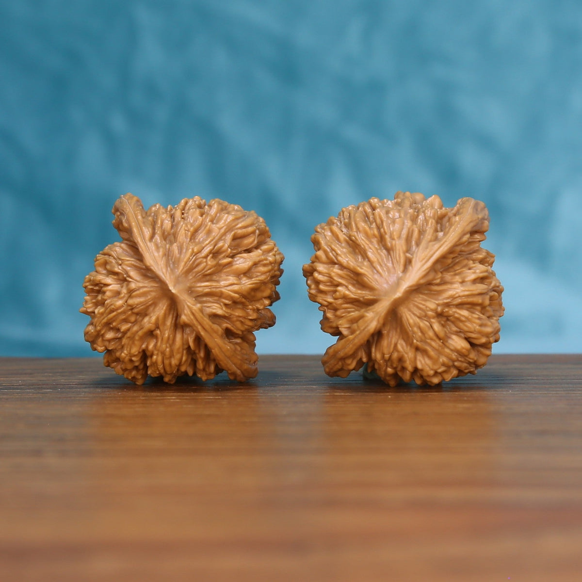 Side view of a Sizuo Lou Wenwan walnut pair on a wooden surface
