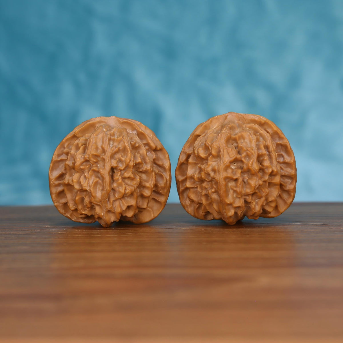 Pair of wenwan walnuts with dense layered wrinkled surface and rounded form, front view on wooden surface with blue background
