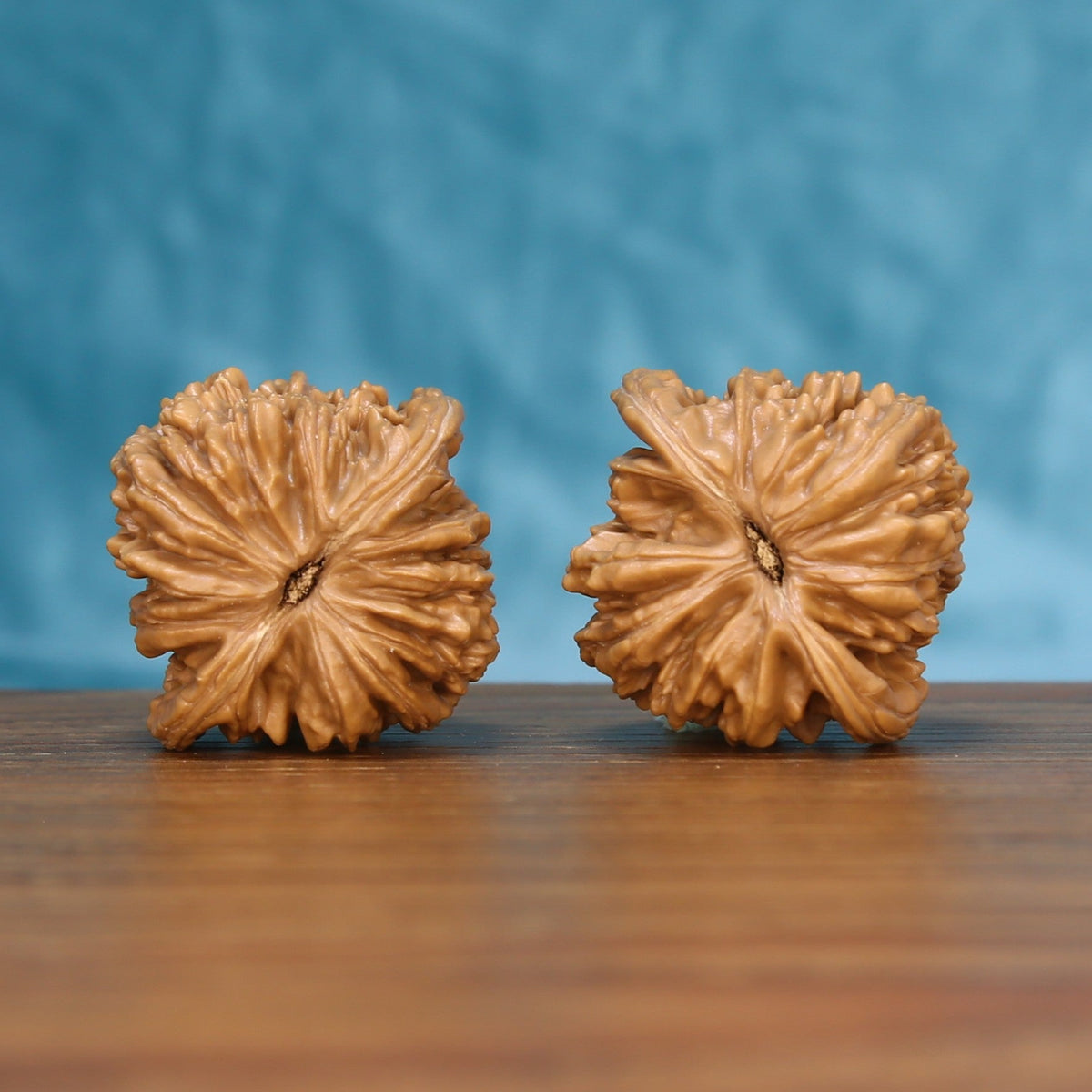 Bottom view of a matched Sizuo Lou Wenwan walnut pair showing natural base details
