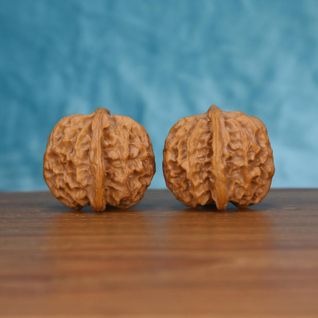 Pair of wenwan walnuts showing prominent vertical seam and ribbed wrinkled surface, side view on wooden surface with blue background
