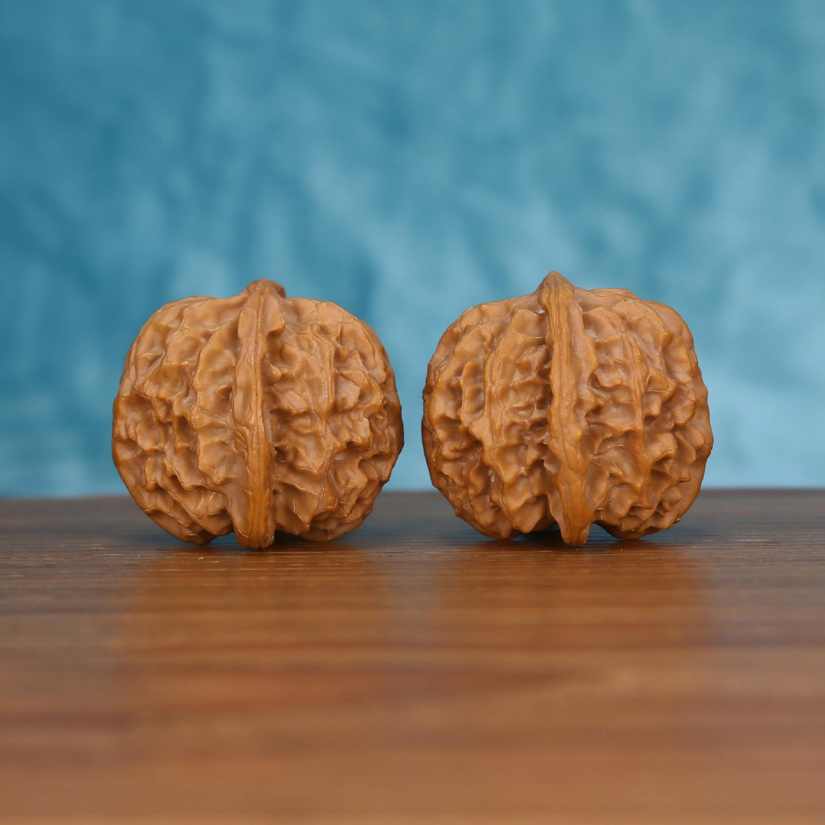 Pair of wenwan walnuts showing prominent vertical seam and ribbed wrinkled surface, side view on wooden surface with blue background
