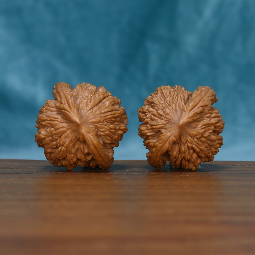 Bottom view of The Bronze Relics Wenwan walnuts showing their textured bases and distinctive ridge patterns.
