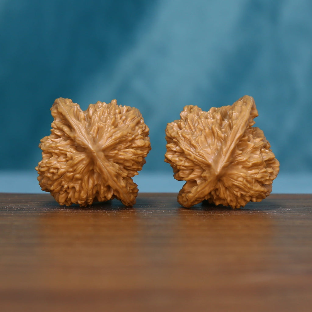 Side view of two 6157 Deep Furrow wenwan walnuts showing their sculptural grooves

